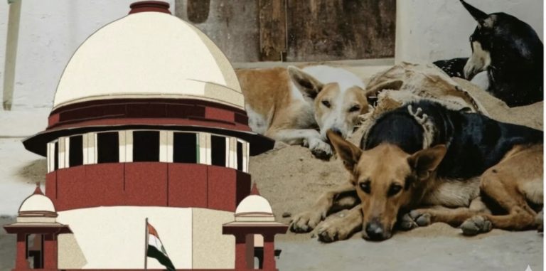 Supreme Court-in Ui Chiu Hlum A Phal Sak, Mipui Punkhawmna Hmun Atangin Ui Lak Sawnna Thupek Thlak Danglam Dawn Lo